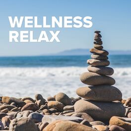 Album cover of Wellness Relax