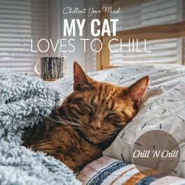 Album cover of My Cat Loves to Chill: Chillout Your Mind