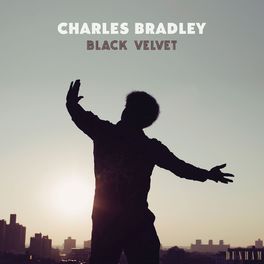Album picture of Black Velvet