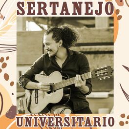 Album cover of Sertanejo Universitario