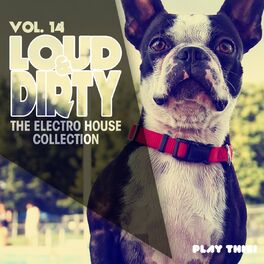 Album cover of Loud & Dirty, Vol. 14