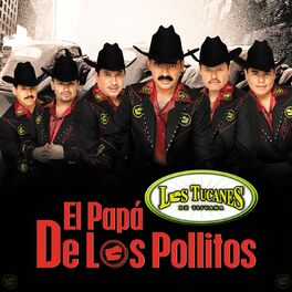 Album cover of El Papá De Los Pollitos