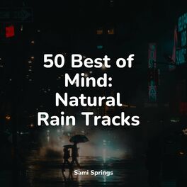 Album cover of 50 Gentle Rain Sounds