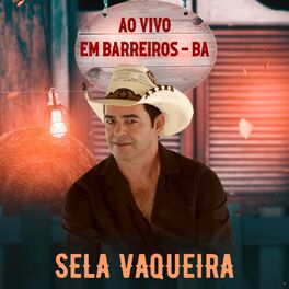 Album cover of Ao Vivo em Barreiros, BA