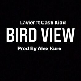 Album cover of Bird view (feat. Cash Kidd)