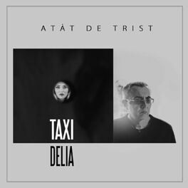 Album cover of Atat de trist (Radio Edit)