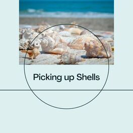 Album cover of Picking up Shells