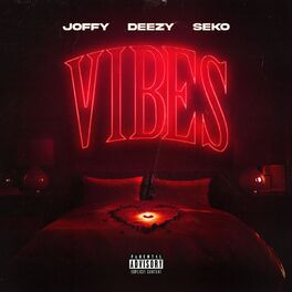 Album cover of VIBES (feat. General Deezy & Seko)