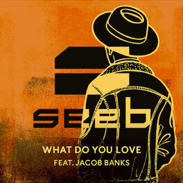 Album cover of What Do You Love