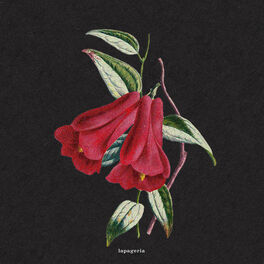 Album cover of Flowers