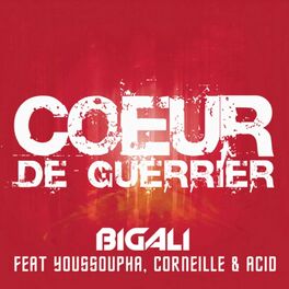 Album cover of Coeur de guerrier (feat. Youssoupha, Corneille & Acid)