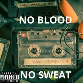 Album cover of NO BLOOD NO SWEAT
