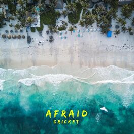 Album cover of Afraid
