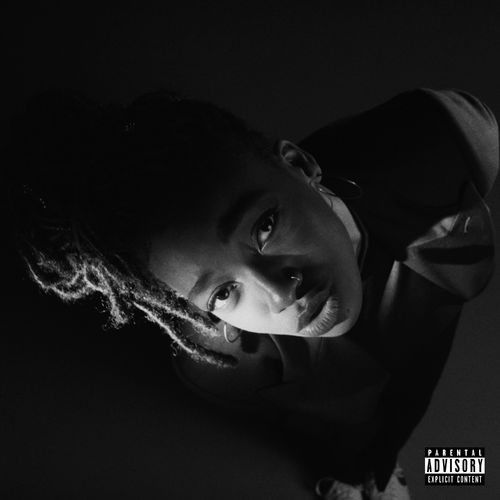 GREY Area by Little Simz Reviews Ratings on Musicboard