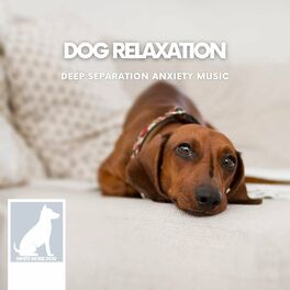 Album cover of Deep Separation Anxiety Music for Dog Relaxation
