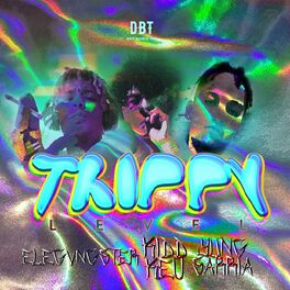 Album cover of Trippy Level