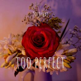 Album cover of Too Perfect