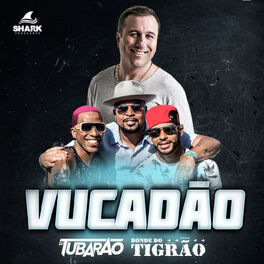 Album cover of Vucadão