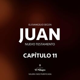 Album cover of El Evangelio Según Juan Capítulo 11 (Nuevo Testamento Valera 1602)