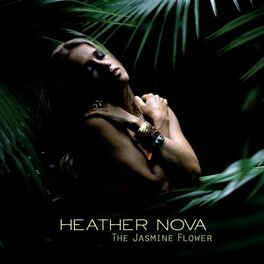Album cover of The Jasmine Flower