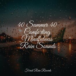 Album cover of 40 Summer 40 Comforting Mindfulness Rain Sounds
