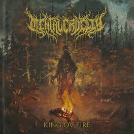 Album cover of King Ov Fire