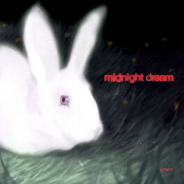 Album cover of MIDNIGHT DREAM: THE ALBUM