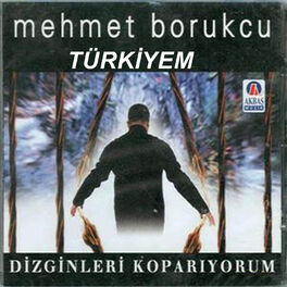 Album cover of Türkiyem / Dizginleri Koparıyorum