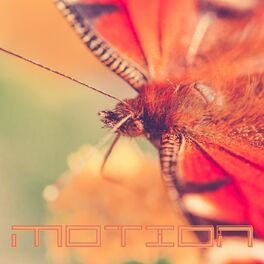 Album cover of Motion
