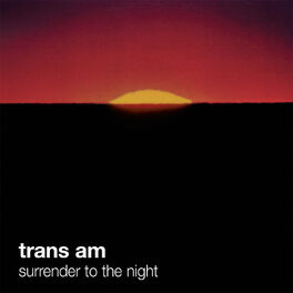 Album cover of Surrender To The Night