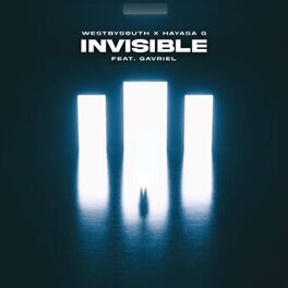 Album cover of Invisible