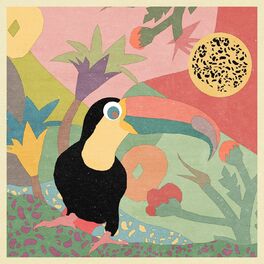 Album cover of Project Rainforest