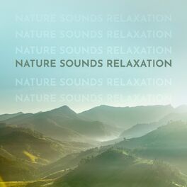 Album cover of Nature Sounds Relaxation: Pure Healing from Music