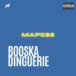 Album cover of Booska dinguerie
