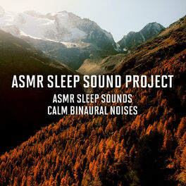 Album cover of ASMR Sleep Sounds - Calm Binaural Noises