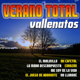 Album cover of Verano Total - Vallenatos
