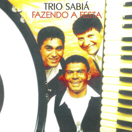 Album cover of Fazendo a Festa