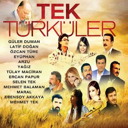 Album cover of Tek Türküler