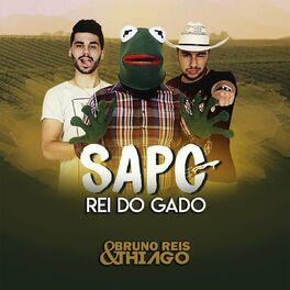 Album cover of Sapo Rei do Gado