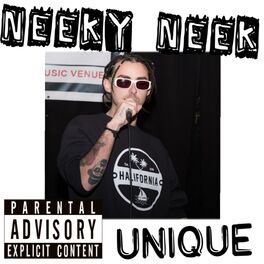 Album cover of Neeky Neek