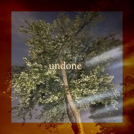Album cover of undone