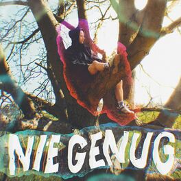 Album cover of NIE GENUG