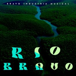 Album cover of Rio Bravo
