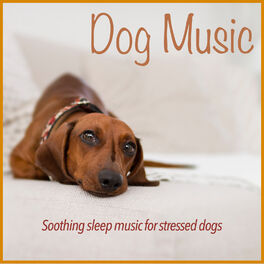 Album cover of Dog Music: Soothing Sleep Music for Stressed Dogs