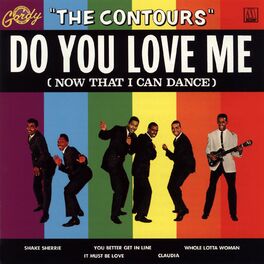 Album cover of Do You Love Me (Now That I Can Dance)