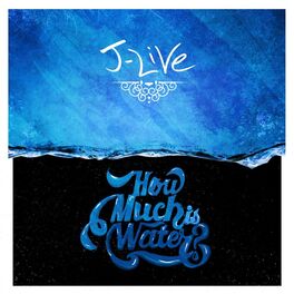 Album cover of How Much Is Water?