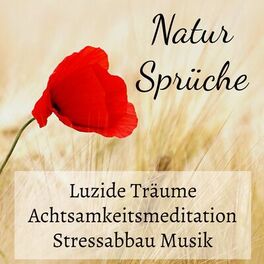 Album cover of Natur Sprüche - Luzide Träume Achtsamkeitsmeditation Stressabbau Musik mit Beruhigende Binaurale Entspannende New Age Geräusche