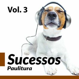 Album cover of Sucessos Paulitura Vol. 3 (2022)