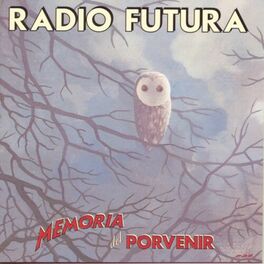 Album cover of Memoria Del Porvenir