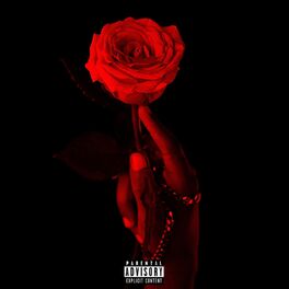 Album cover of Romance (feat. 504icygrl)